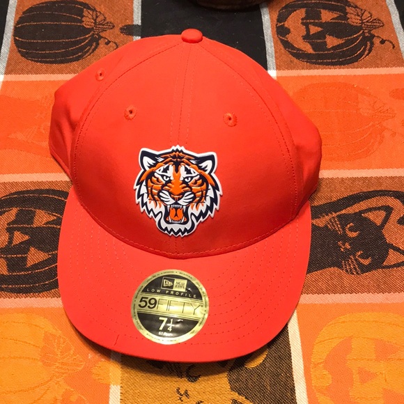 Other - Detroit Tigers hat